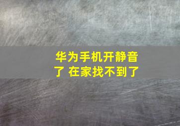 华为手机开静音了 在家找不到了